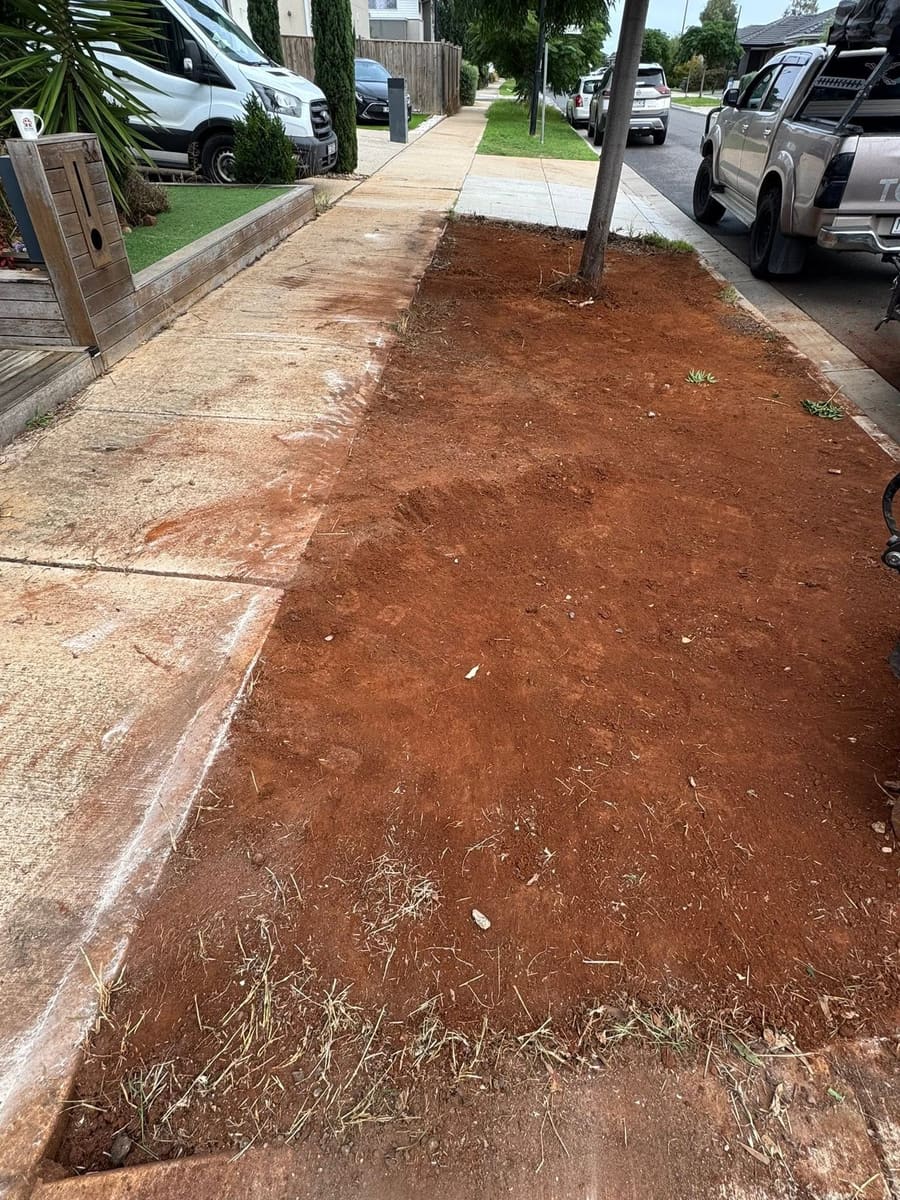 After: the same nature strip stripped back to bare, level soil with a clean edge along the footpath.