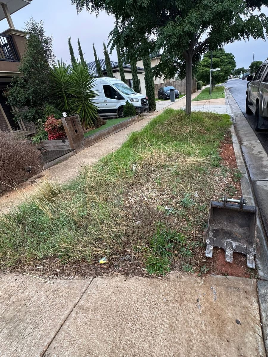 Before: a suburban nature strip thick with overgrown grass, weeds and litter beside the footpath.